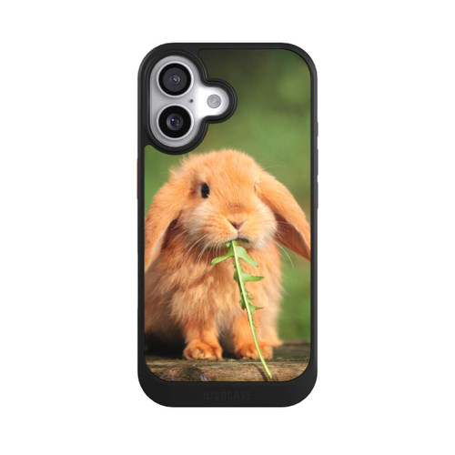  NIVOcore Kaninchen mit Grünzeug