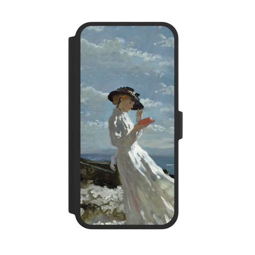 Apple iPhone 16 Pro Max NIVOflip Grace Reading at Howth Bay